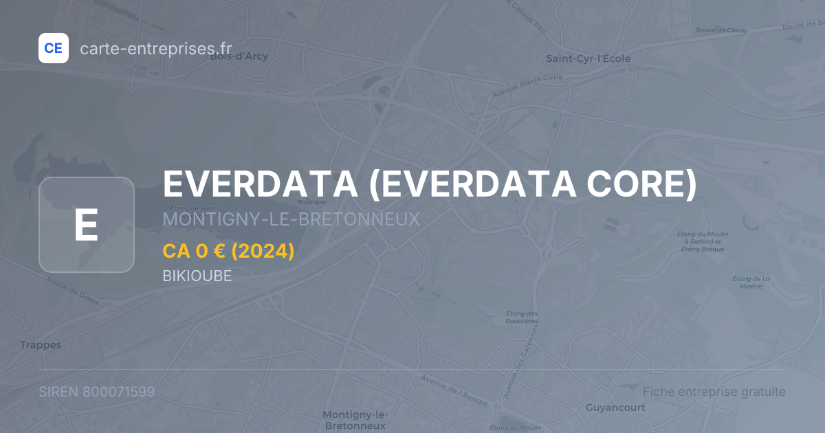 EVERDATA — 800071599 — fiche entreprise