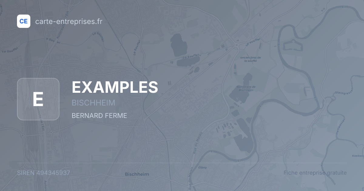 EXAMPLES — 494345937 — fiche entreprise