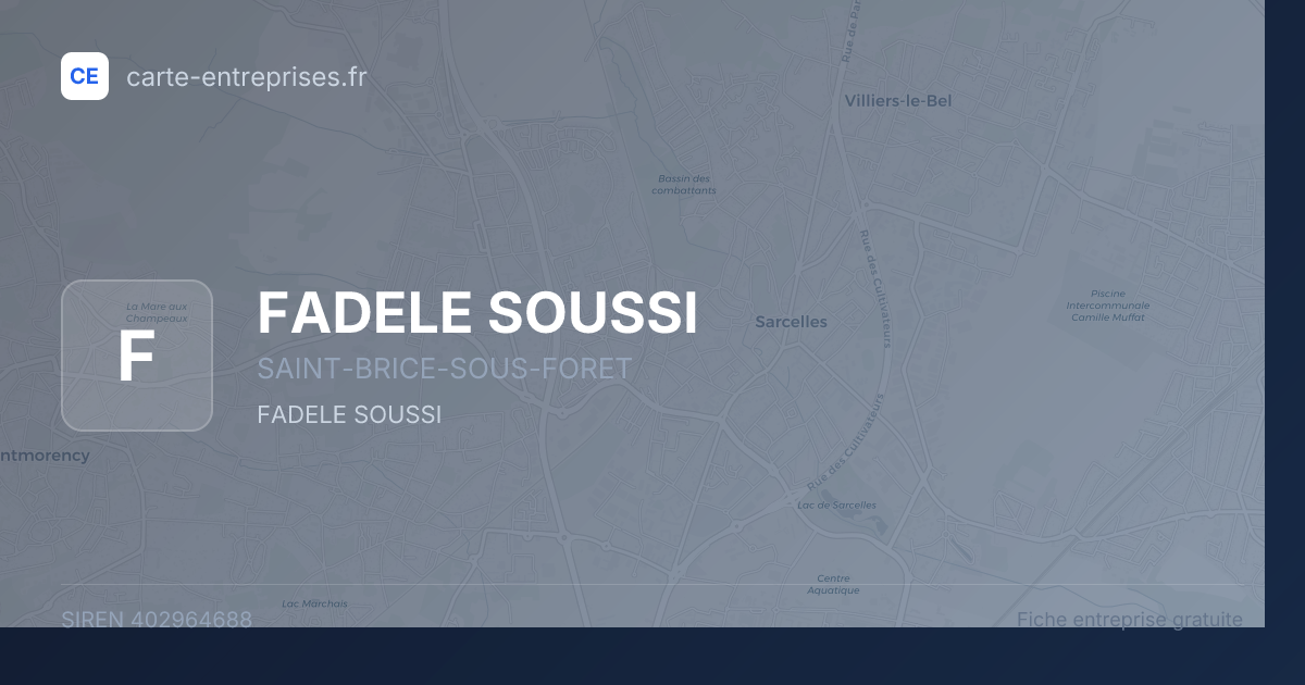FADELE SOUSSI — 402964688 — fiche entreprise