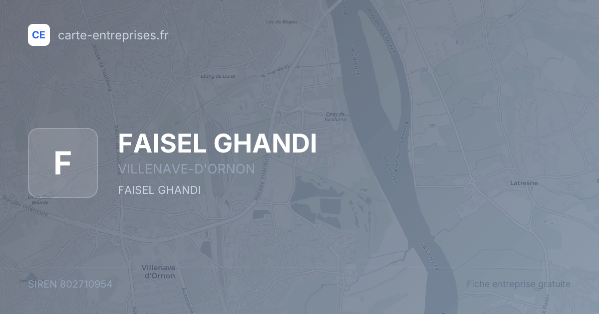 FAISEL GHANDI — 802710954 — fiche entreprise