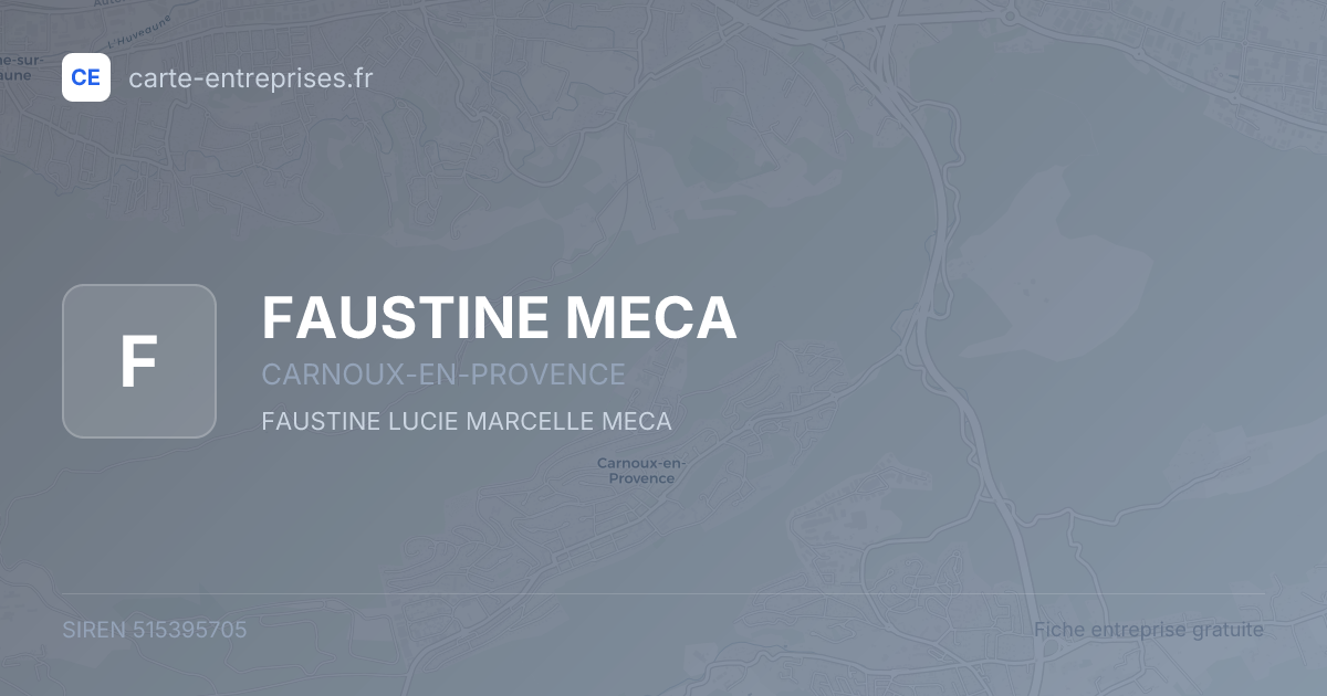 FAUSTINE MECA — 515395705 — fiche entreprise