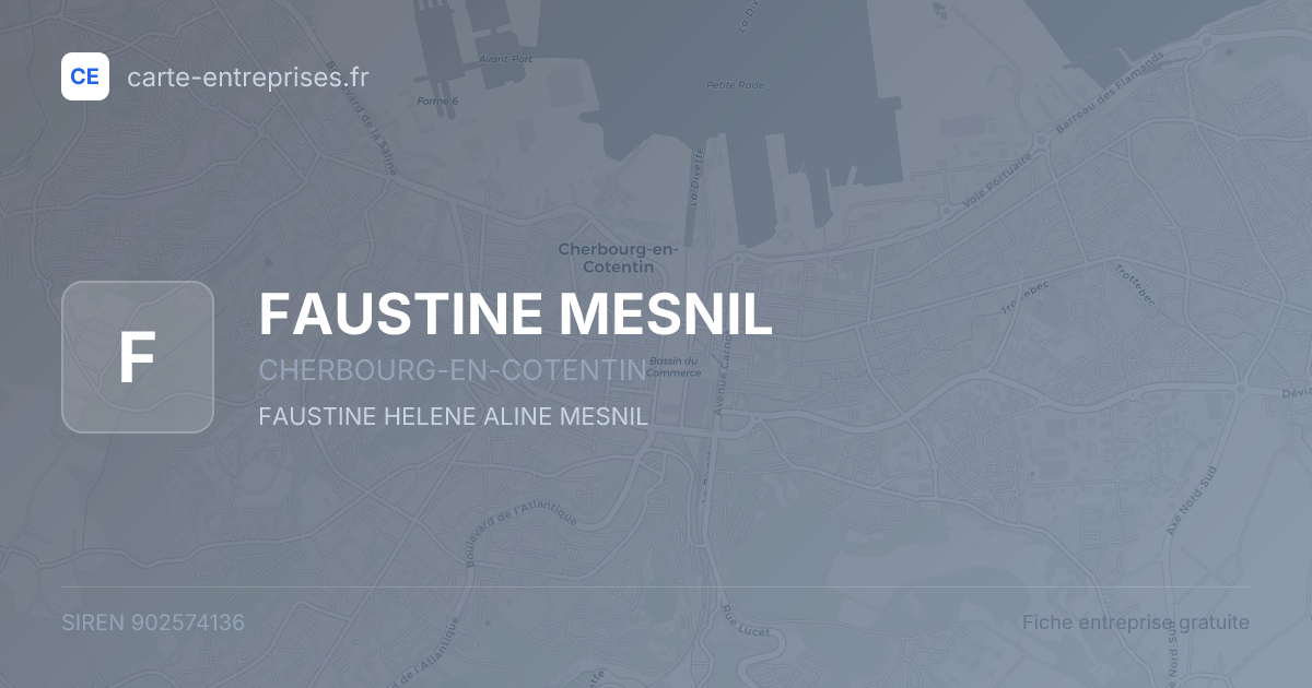 FAUSTINE MESNIL — 902574136 — fiche entreprise