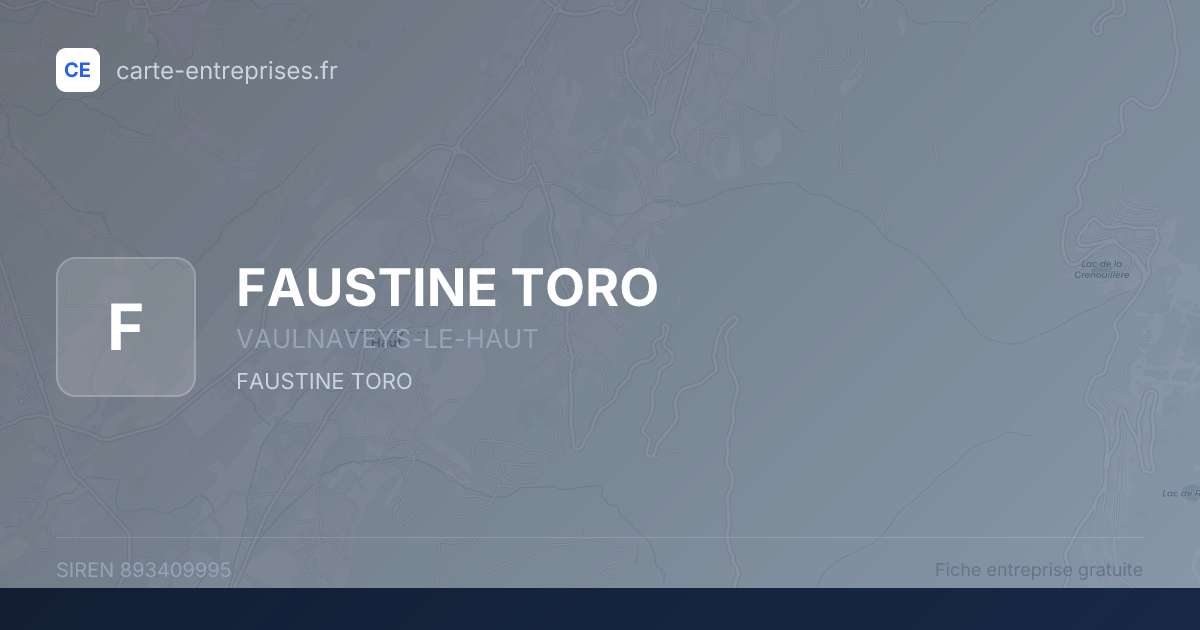 FAUSTINE TORO — 893409995 — fiche entreprise