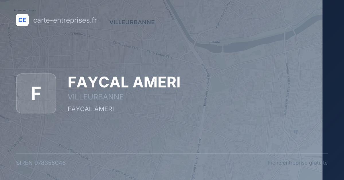 FAYCAL AMERI — 978356046 — fiche entreprise
