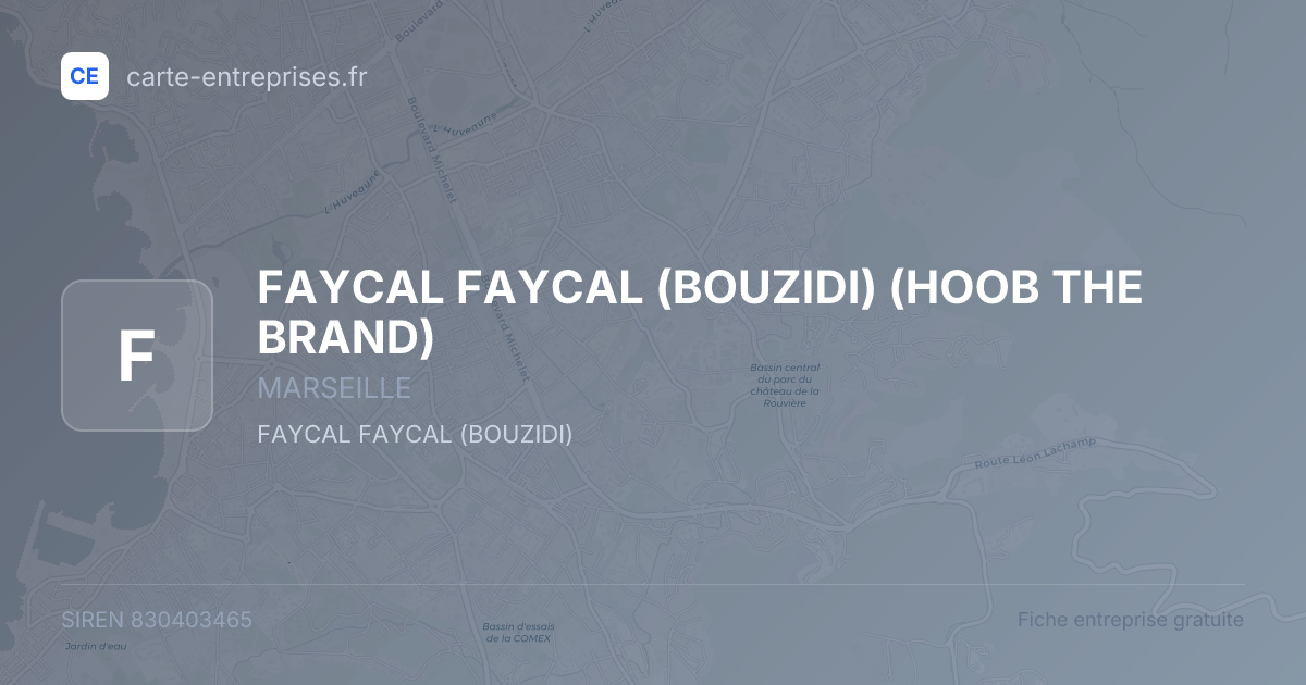FAYCAL FAYCAL (BOUZIDI) (HOOB THE BRAND) — 830403465 — fiche entreprise