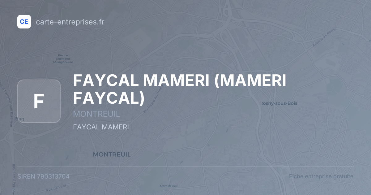 FAYCAL MAMERI (MAMERI FAYCAL) — 790313704 — fiche entreprise