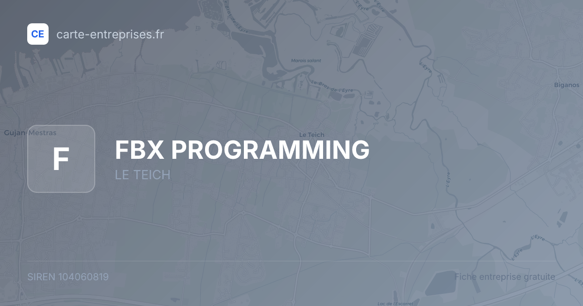 FBX PROGRAMMING — 104060819 — fiche entreprise
