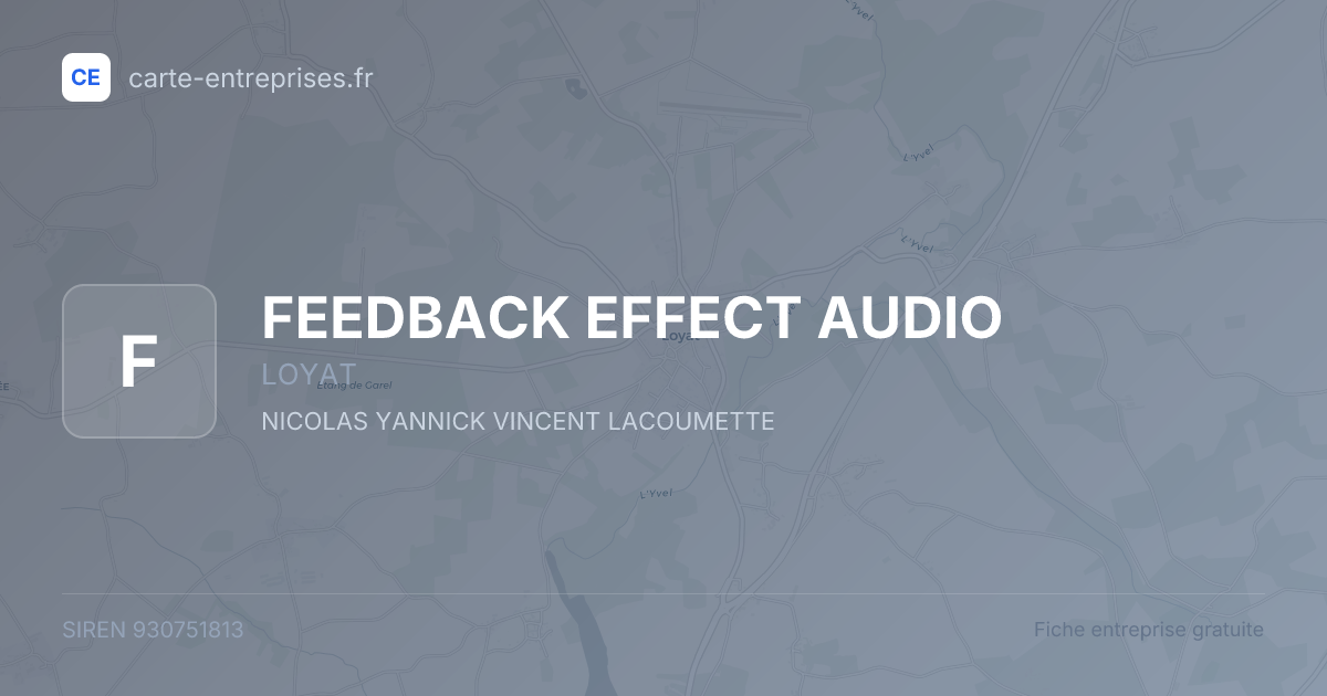 FEEDBACK EFFECT AUDIO — 930751813 — fiche entreprise