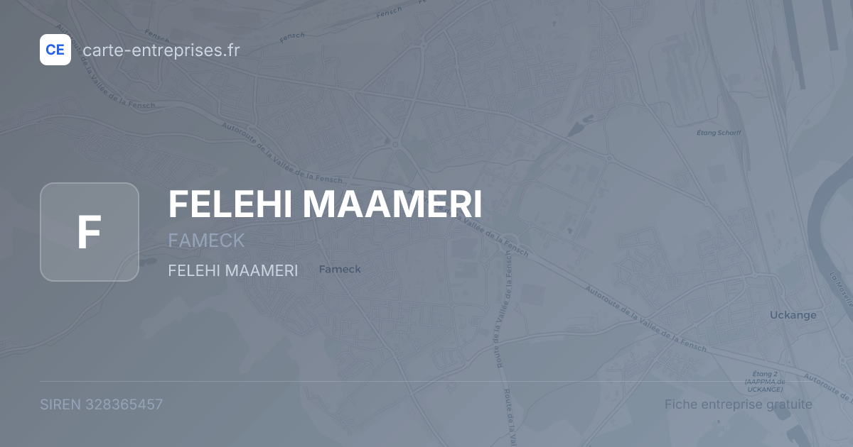 FELEHI MAAMERI — 328365457 — fiche entreprise