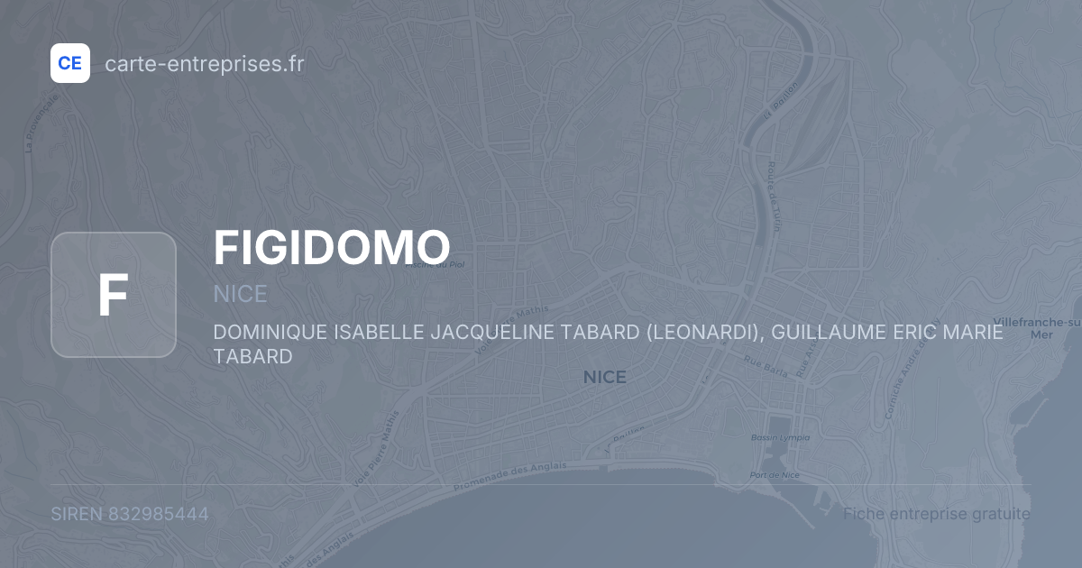 FIGIDOMO — 832985444 — fiche entreprise