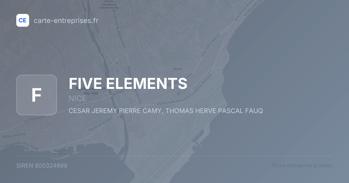 FIVE ELEMENTS — 800324899 — fiche entreprise