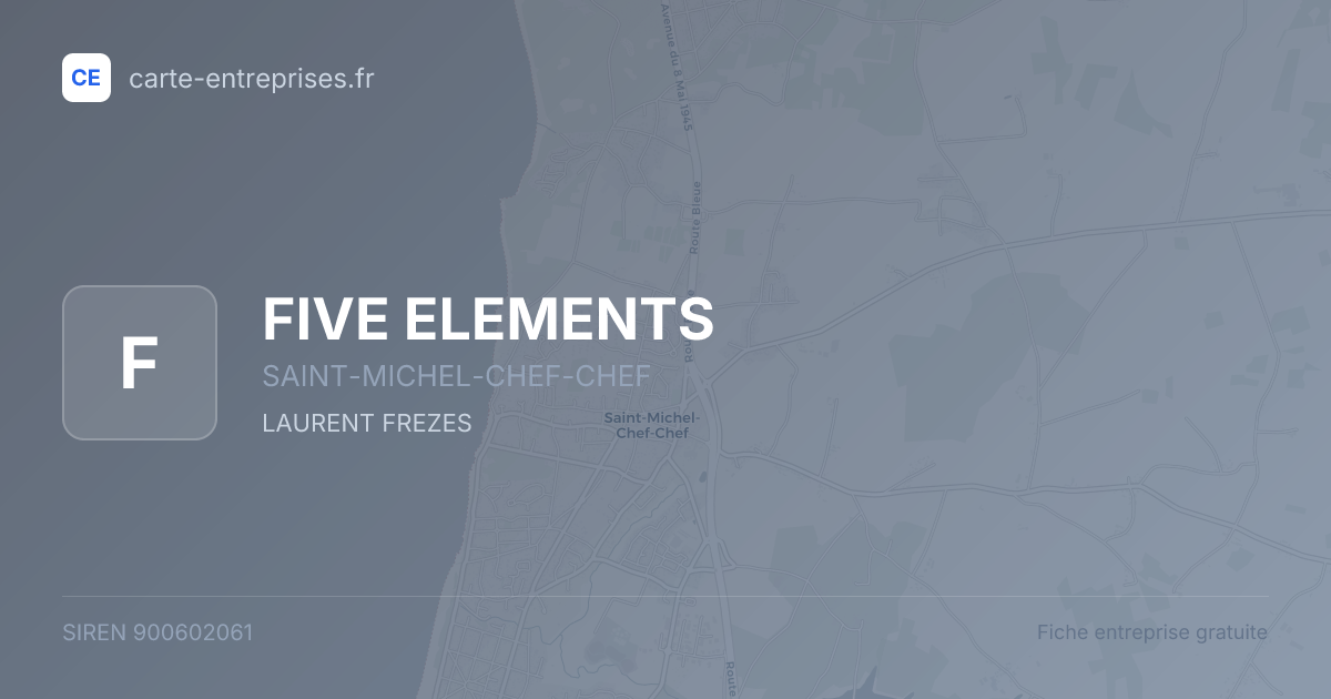 FIVE ELEMENTS — 900602061 — fiche entreprise