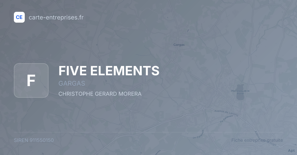 FIVE ELEMENTS — 911550150 — fiche entreprise