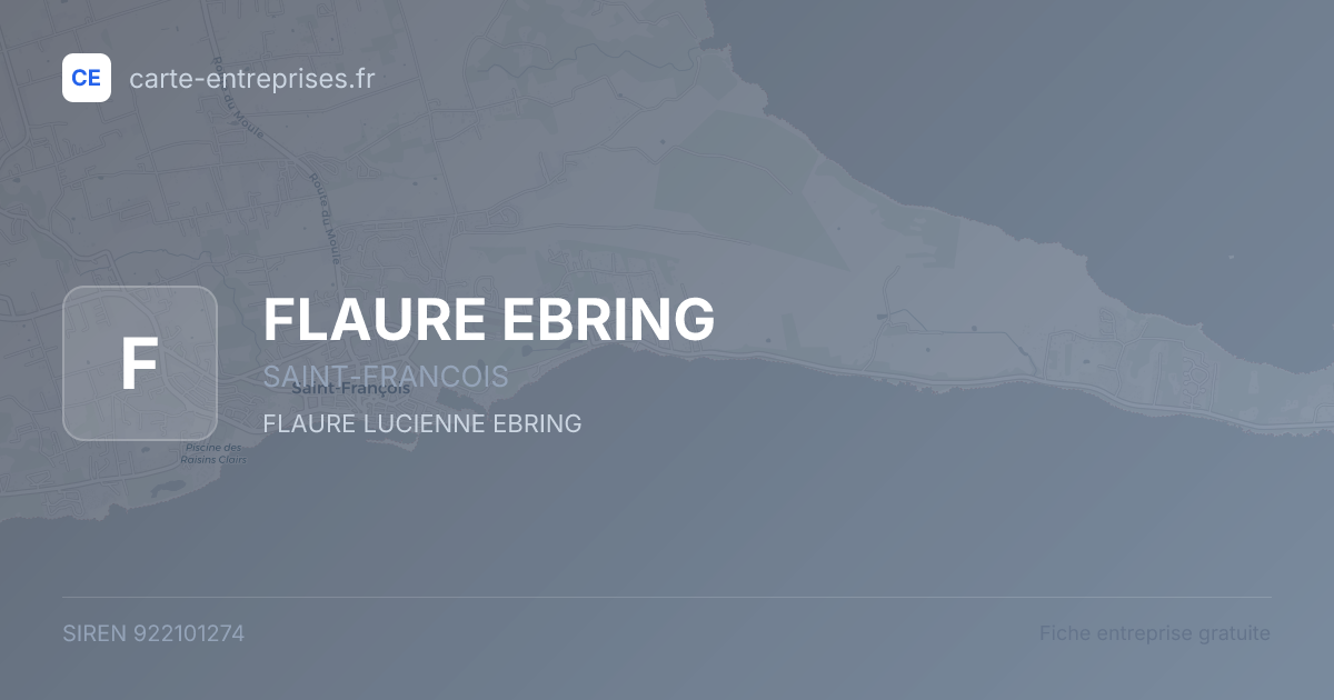 FLAURE EBRING — 922101274 — fiche entreprise