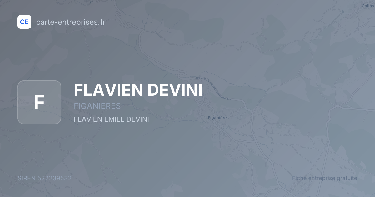 FLAVIEN DEVINI — 522239532 — fiche entreprise