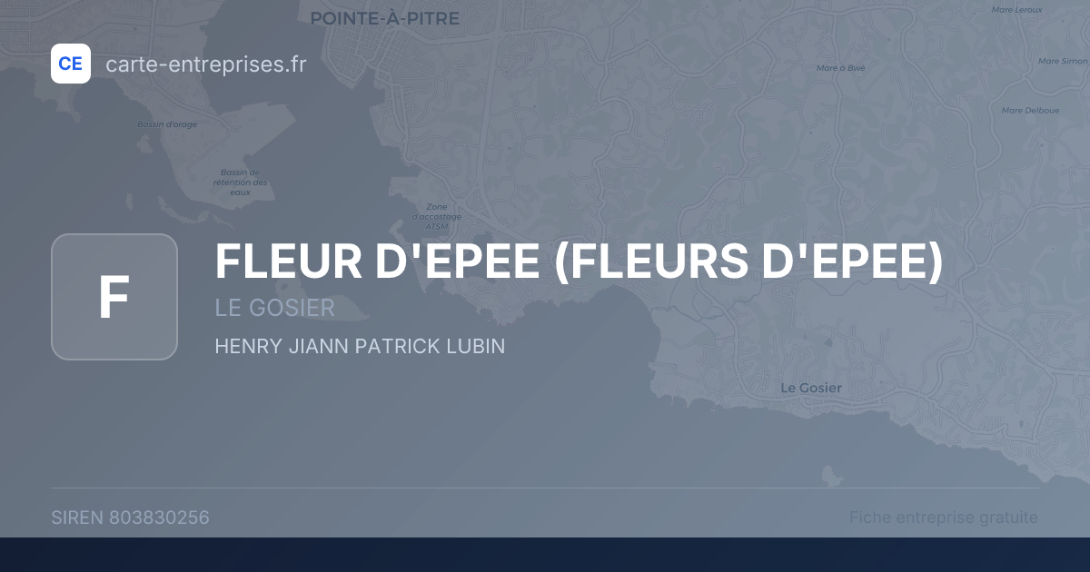 FLEUR D'EPEE (FLEURS D'EPEE) — 803830256 — fiche entreprise