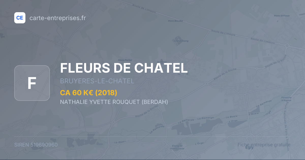 FLEURS DE CHATEL — 519690960 — fiche entreprise