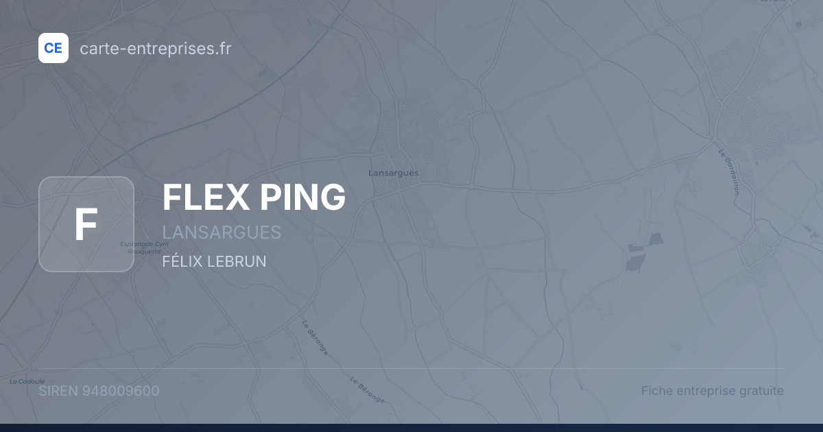 FLEX PING — 948009600 — fiche entreprise