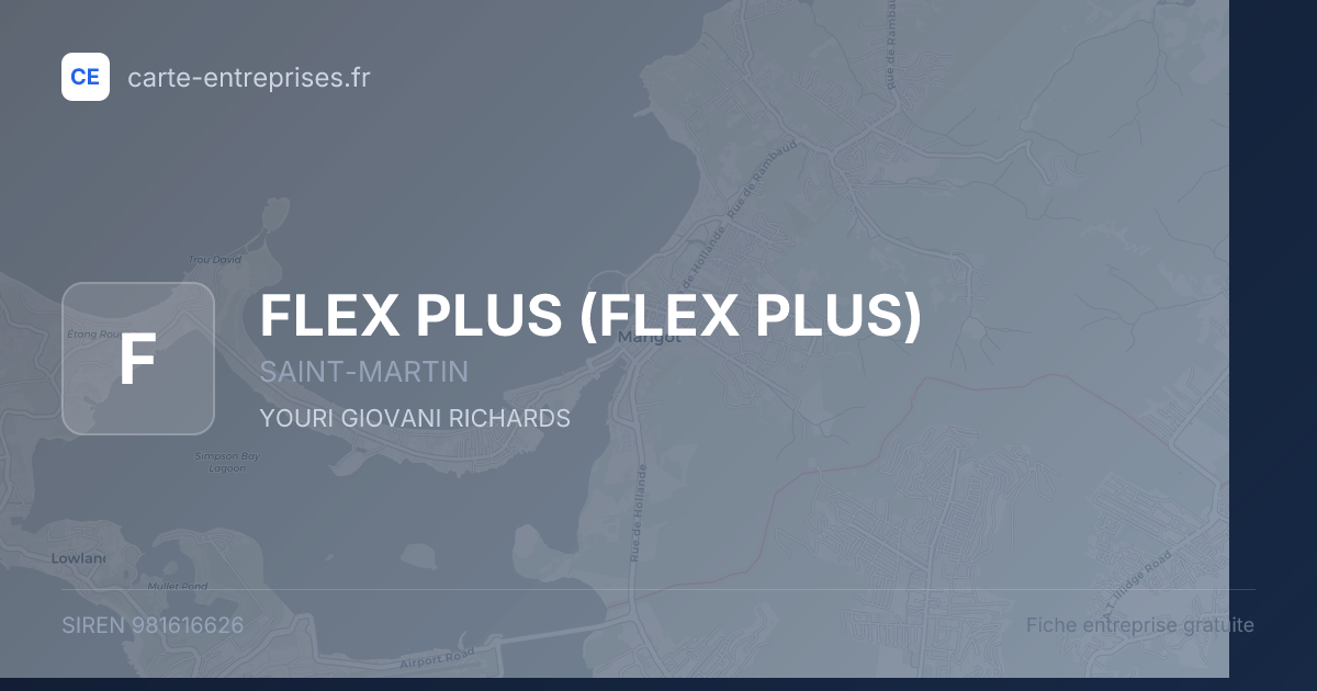 FLEX PLUS — 981616626 — fiche entreprise