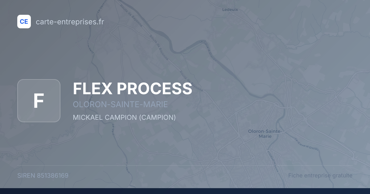 FLEX PROCESS — 851386169 — fiche entreprise