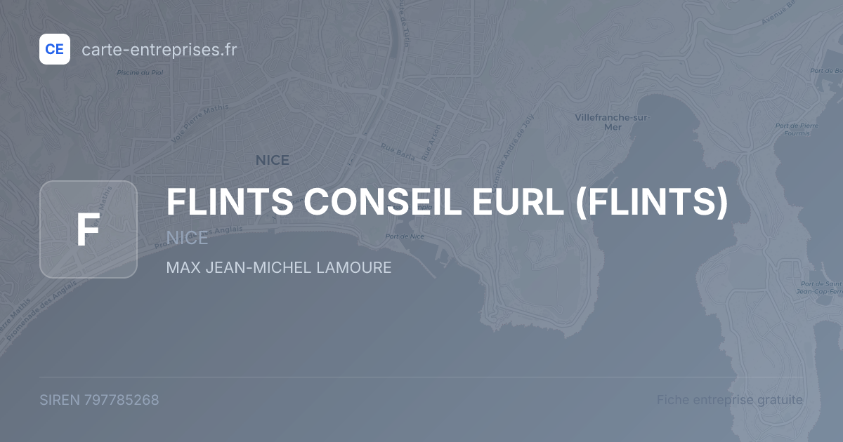 FLINTS CONSEIL EURL (FLINTS) — 797785268 — fiche entreprise