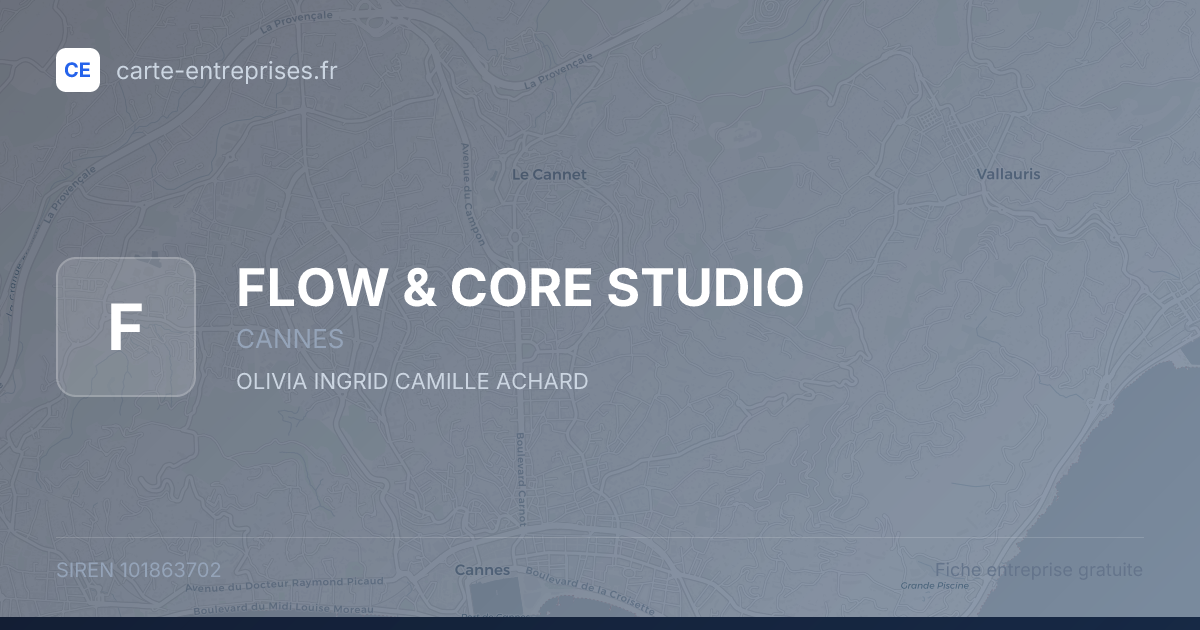 FLOW & CORE STUDIO — 101863702 — fiche entreprise