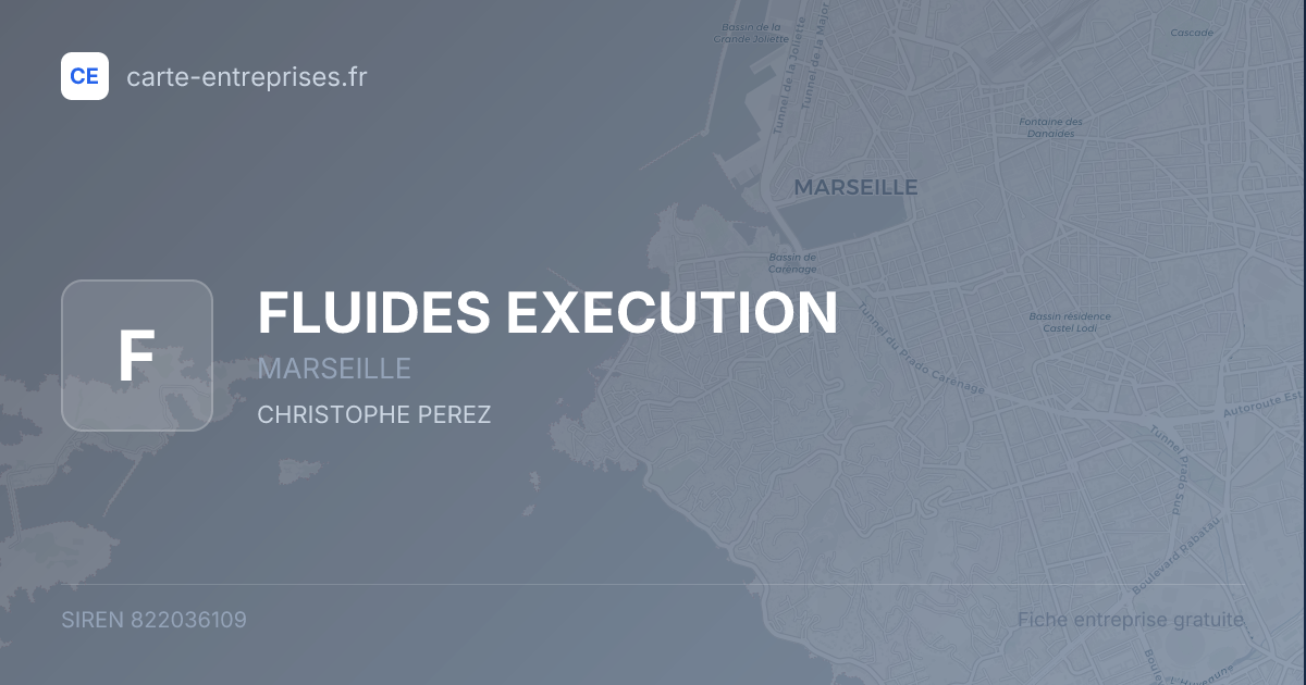 FLUIDES EXECUTION — 822036109 — fiche entreprise