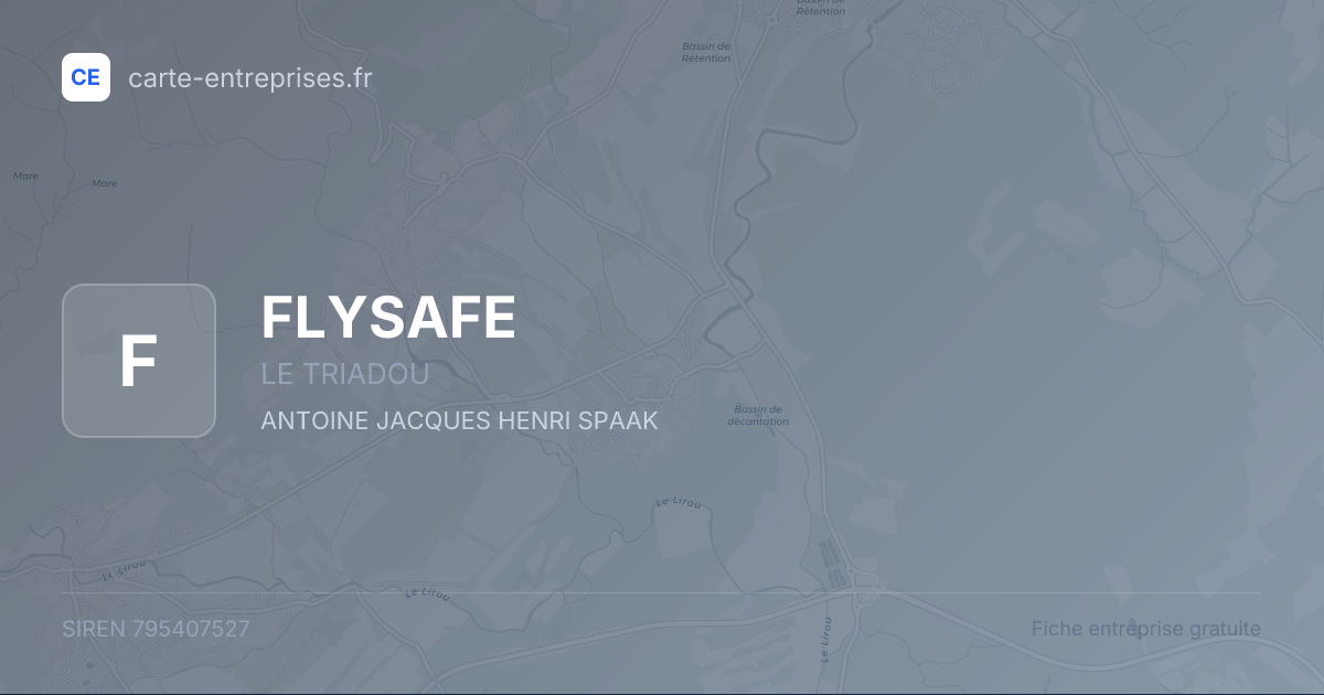 FLYSAFE — 795407527 — fiche entreprise