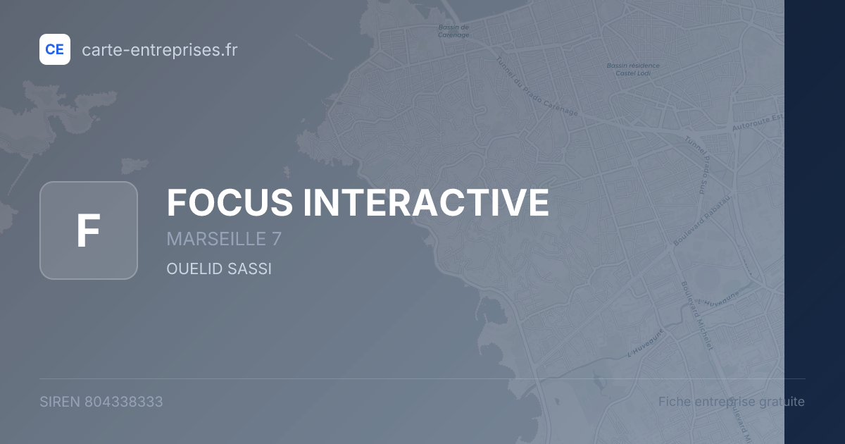FOCUS INTERACTIVE — 804338333 — fiche entreprise