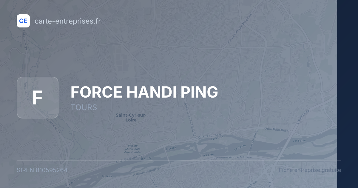 FORCE HANDI PING — 810595264 — fiche entreprise