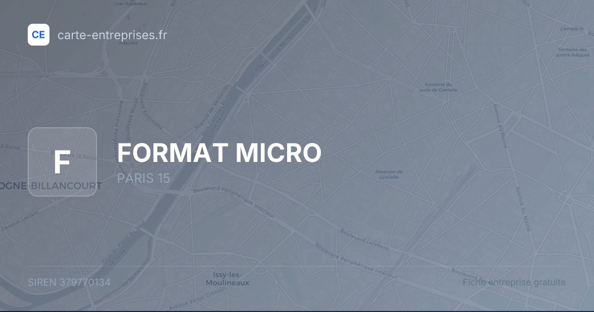 FORMAT MICRO — 379770134 — fiche entreprise