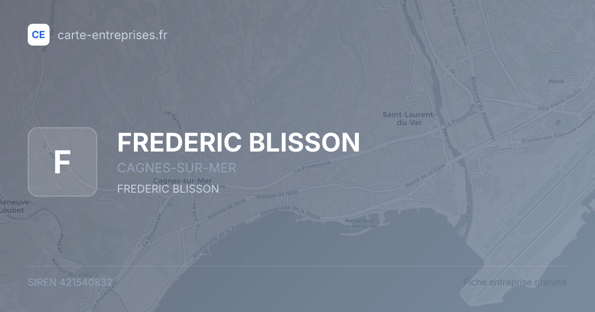 FREDERIC BLISSON — 421540832 — fiche entreprise