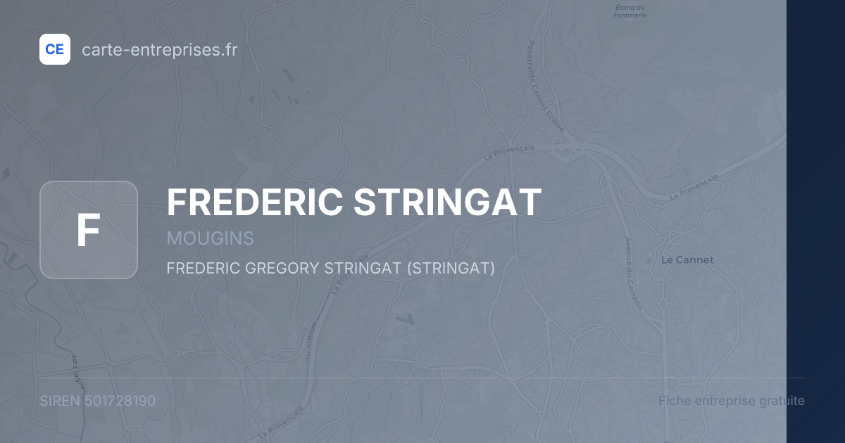 FREDERIC STRINGAT — 501728190 — fiche entreprise