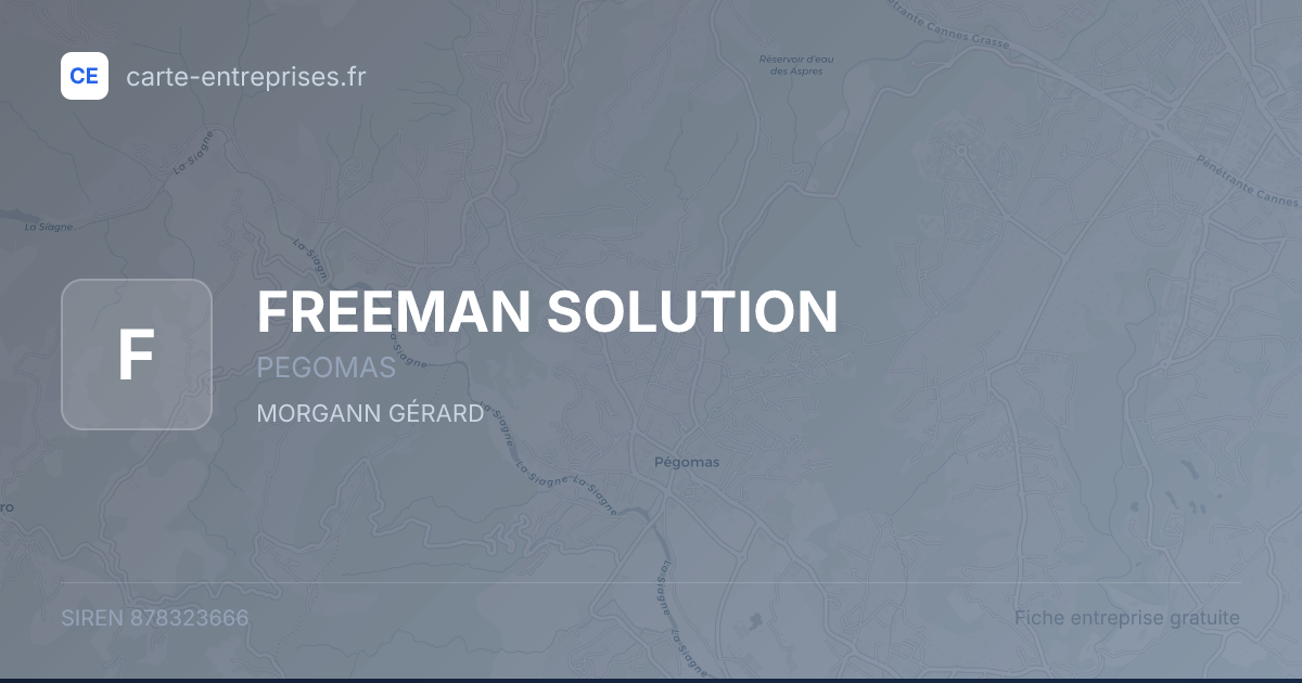 FREEMAN SOLUTION — 878323666 — fiche entreprise