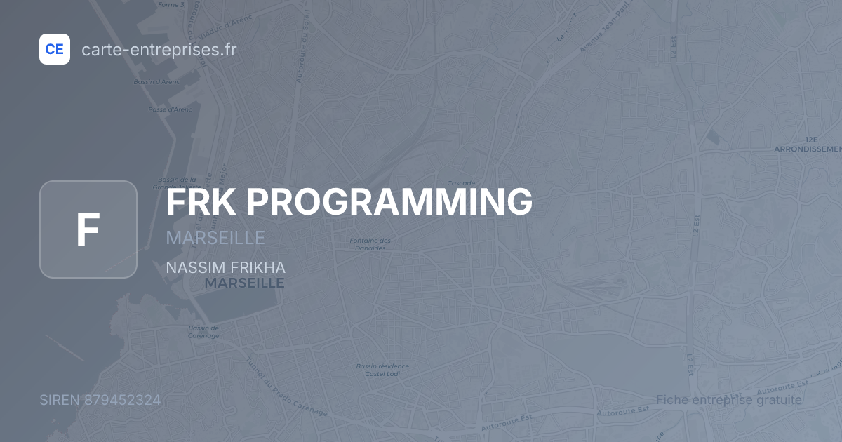 FRK PROGRAMMING — 879452324 — fiche entreprise