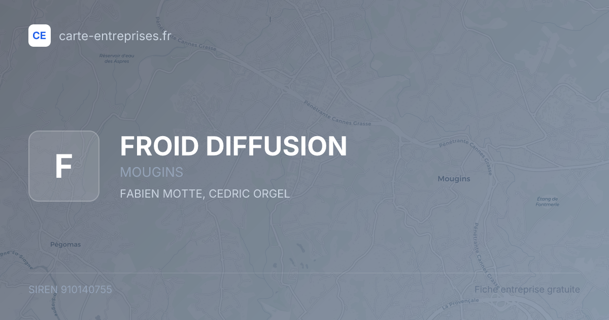 FROID DIFFUSION — 910140755 — fiche entreprise