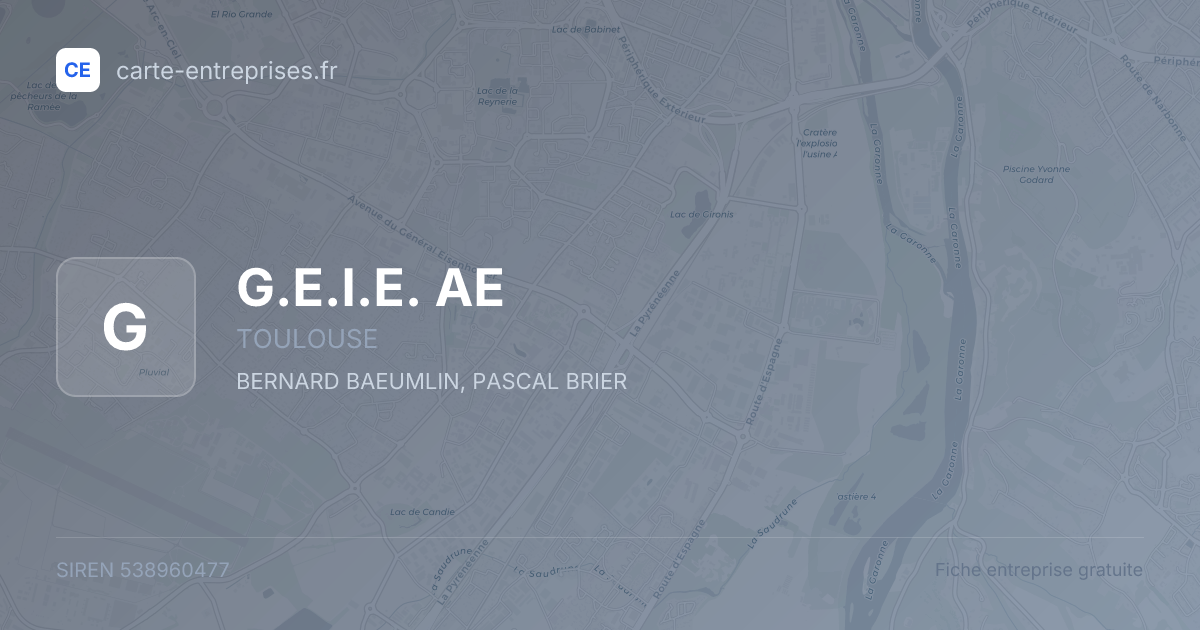 G.E.I.E. AE — 538960477 — fiche entreprise