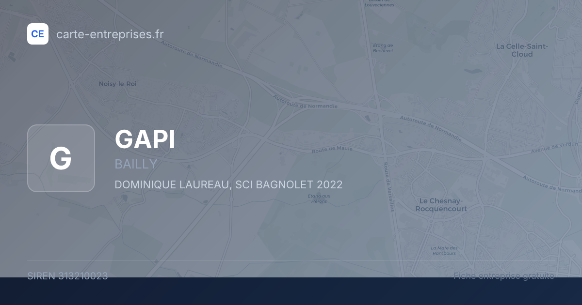 GAPI — 313210023 — fiche entreprise