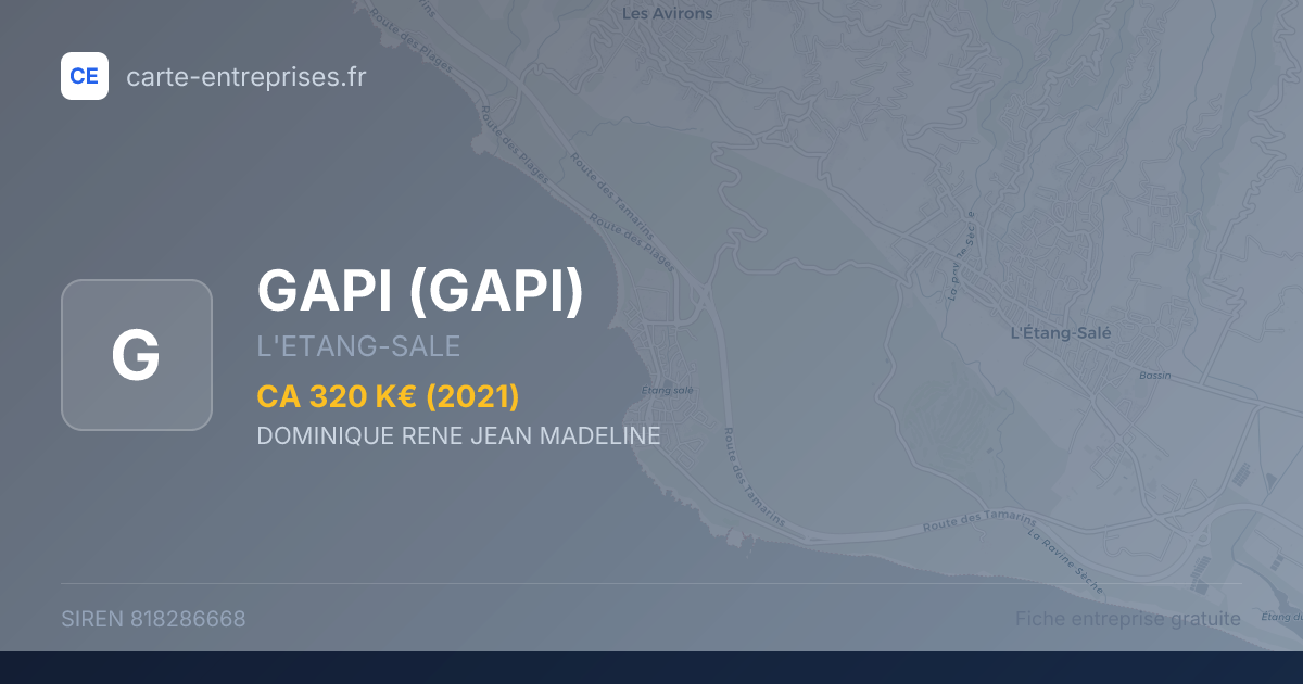 GAPI — 818286668 — fiche entreprise