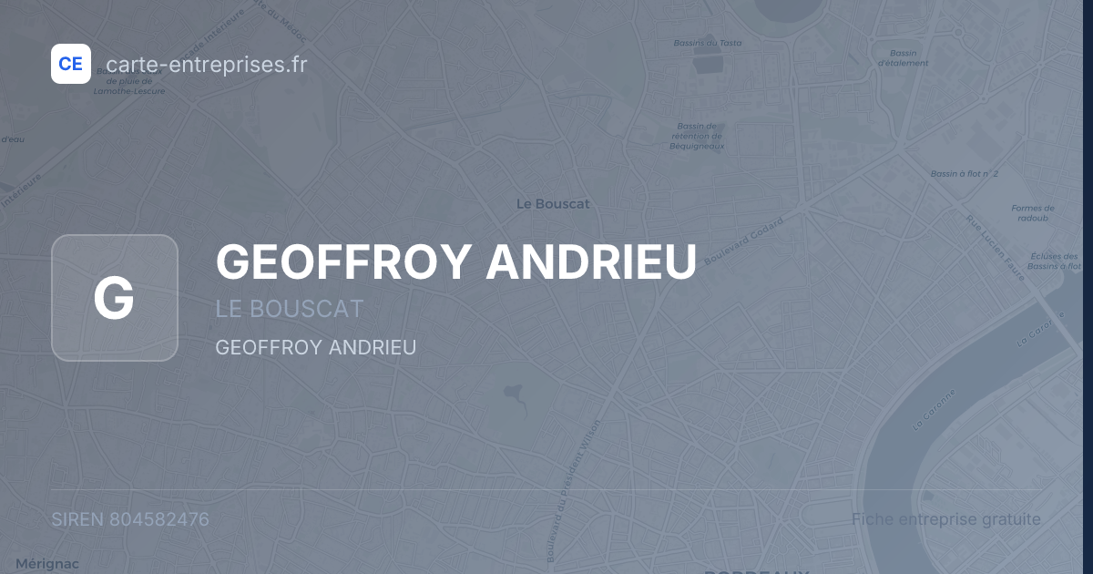 GEOFFROY ANDRIEU — 804582476 — fiche entreprise