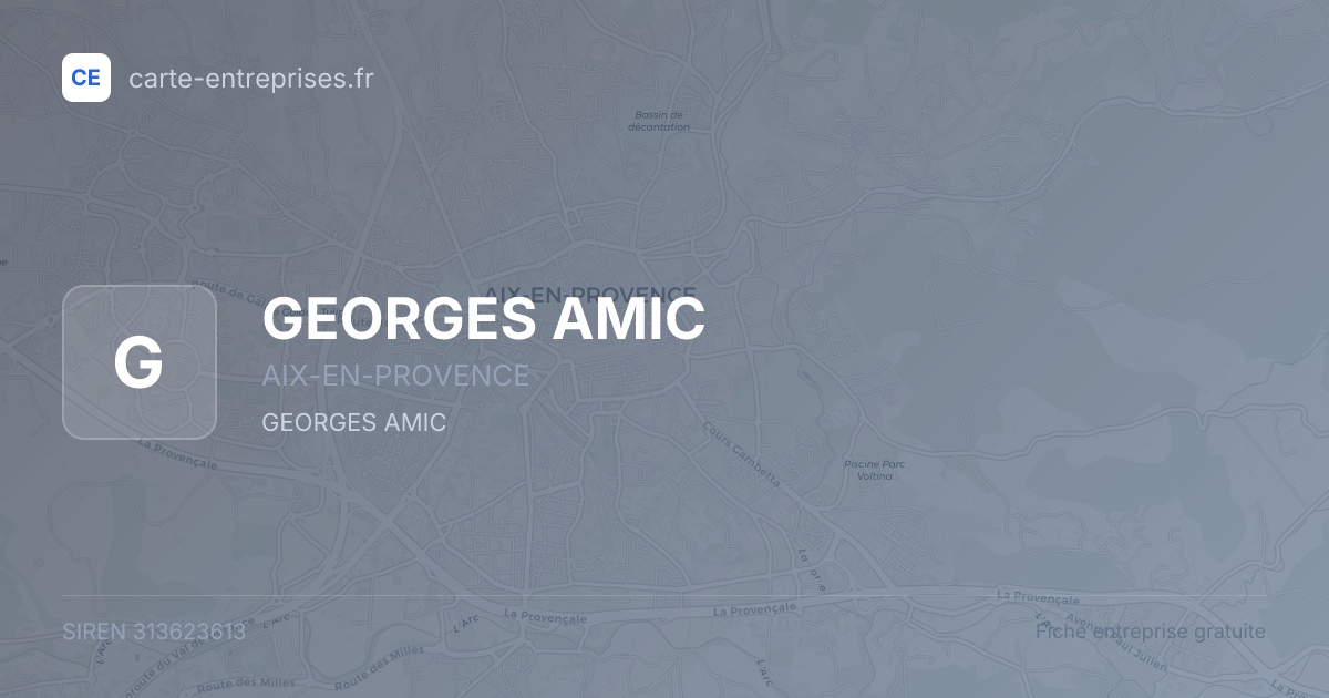 GEORGES AMIC — 313623613 — fiche entreprise