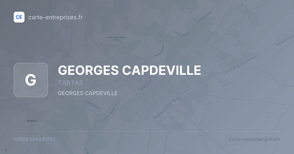 GEORGES CAPDEVILLE — 896441730 — fiche entreprise