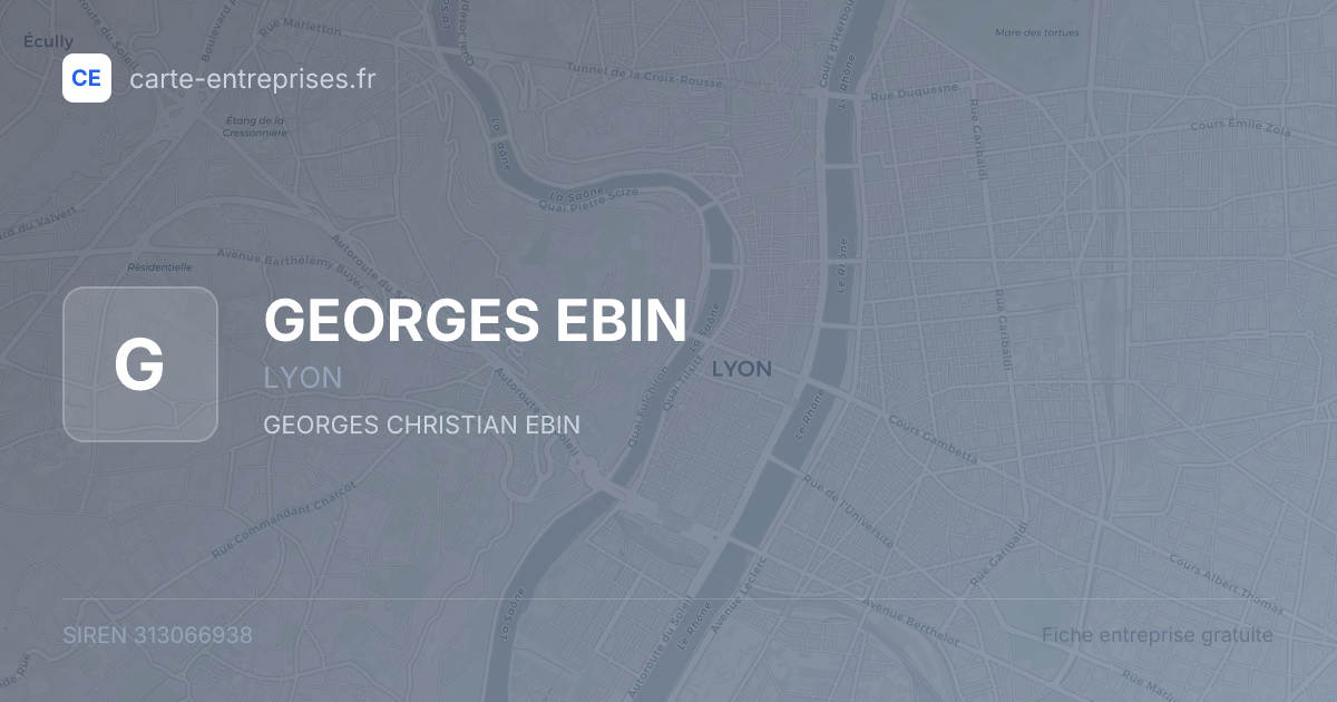 GEORGES EBIN — 313066938 — fiche entreprise