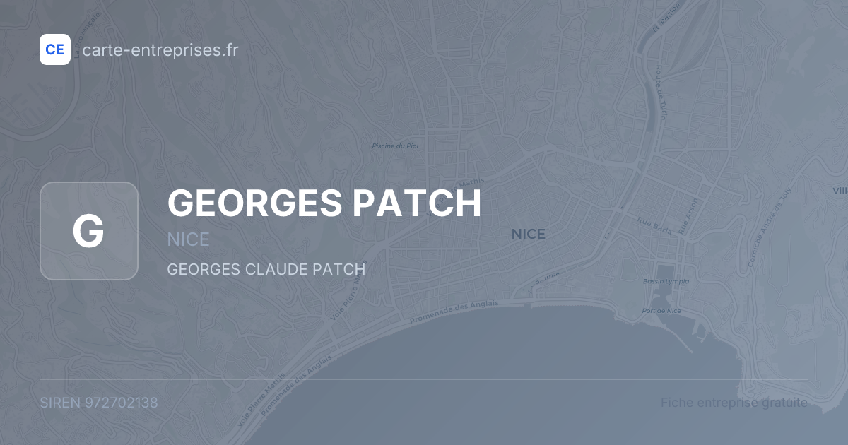 GEORGES PATCH — 972702138 — fiche entreprise