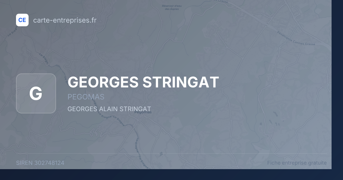 GEORGES STRINGAT — 302748124 — fiche entreprise