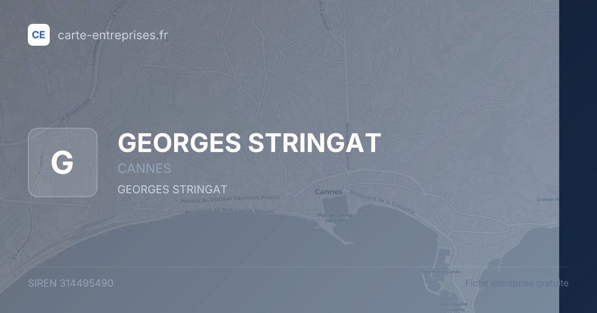 GEORGES STRINGAT — 314495490 — fiche entreprise