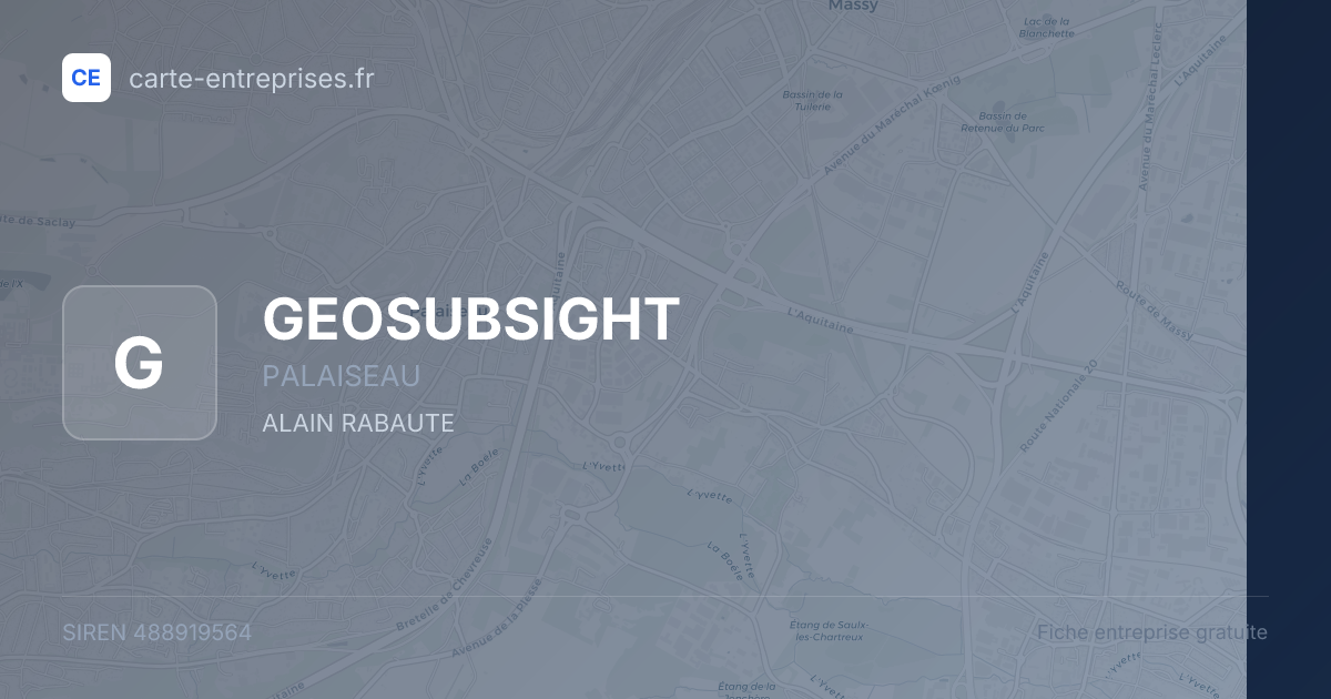 GEOSUBSIGHT — 488919564 — fiche entreprise