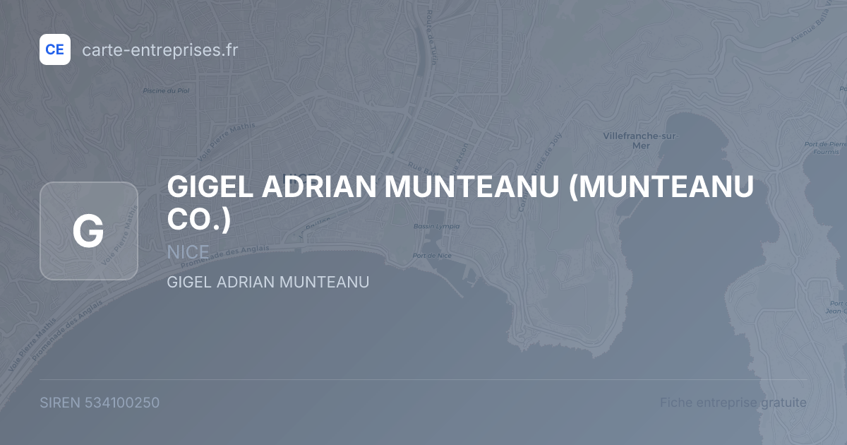 GIGEL ADRIAN MUNTEANU (MUNTEANU CO.) — 534100250 — fiche entreprise