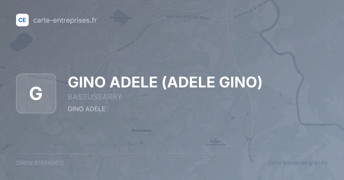 GINO ADELE (ADELE GINO) — 819840612 — fiche entreprise