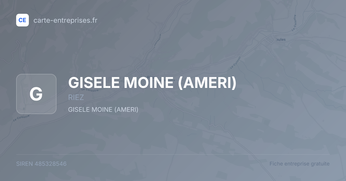 GISELE MOINE (AMERI) — 485328546 — fiche entreprise